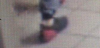 Wer erkennt die Einbrecher? (Foto: Landespolizeiinspektion Nordhausen)