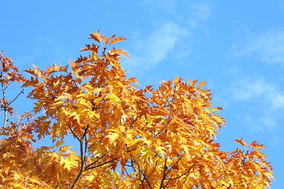 Wetterbild (Foto: agl) Wetterbild (Foto: agl)