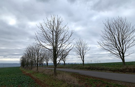 Bei Urbach (Foto: oas)