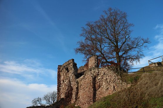 Wetterbild (Foto: agl)