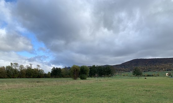Am Stausee bei Kelbra (Foto: oas)