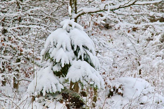 Wetterbild (Foto: agl)