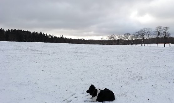 Sophienhof heute morgen bei -3 Grad und 2 Zentimeter Neuschnee (Foto: W.Jörgens) Sophienhof heute morgen bei -3 Grad und 2 Zentimeter Neuschnee (Foto: W.Jörgens)
