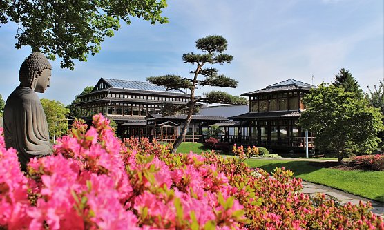 Der Japanische Garten in Bad Langensalza (Foto: Kur und Tourismus Bad Langensalza GmbH)