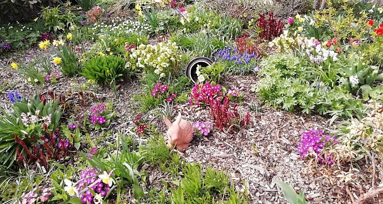 Trotz niedriger Temperatur, 1.6 Grad, ist der Fr&uuml;hling auch auf einer H&ouml;he von 543 Metern &uuml;ber NN nicht mehr aufzuhalten  (Foto: W.J&ouml;rgens)