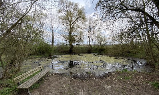 Auch am Gr8ndlosen Loch in Nordhauen/Salza wird jetzt mit aller Macht Fr&uuml;hling (Foto: oas)