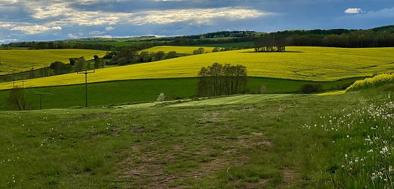 Bei Limlingerode (Foto: oas)