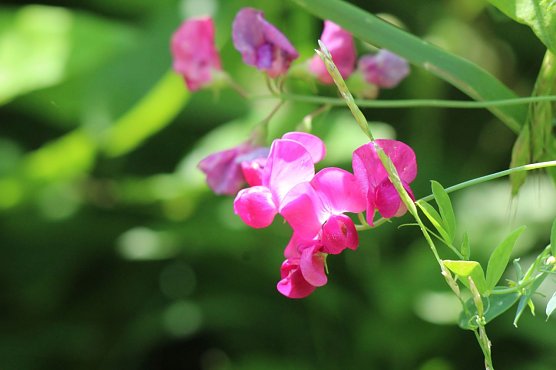 Wetterbild (Foto: Eva Maria Wiegand)