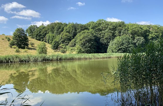 Hirschenteich bei Nordhausen-Salza (Foto: oas)