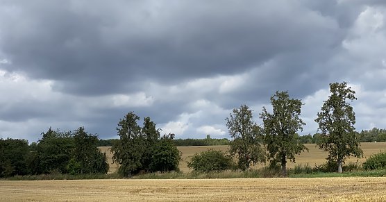 St&uuml;rmisch und wolkig in der Windl&uuml;cke in Nordhausen (Foto: oas)