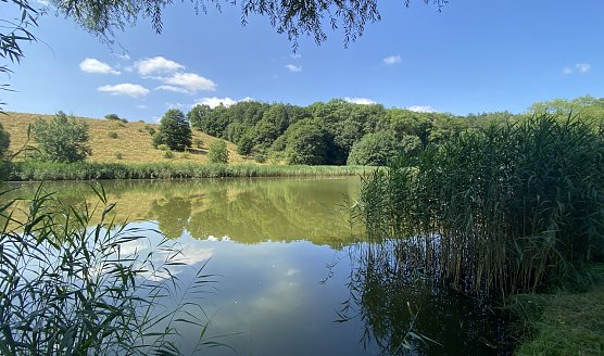 Hirschenteich bei Nordhausen-Salza (Foto: oas)