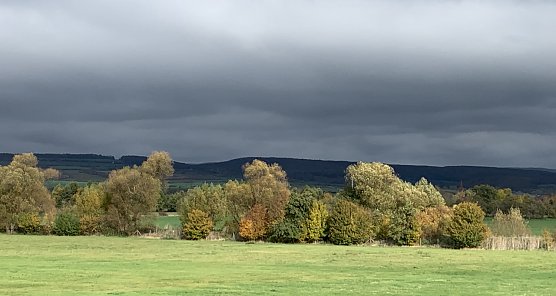 Herbststimmung (Foto: oas)