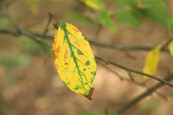 Wetterbild (Foto: agl) Wetterbild (Foto: agl)