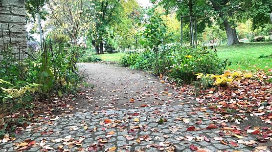 Herbstlicher Weg (Foto: E.Wiegand) Herbstlicher Weg (Foto: E.Wiegand)