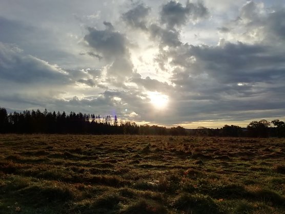 Bei Sophienhof beglückte uns der Herbst heute morgen noch mit Sonnenschein (Foto: W. Jörgens) Bei Sophienhof beglückte uns der Herbst heute morgen noch mit Sonnenschein (Foto: W. Jörgens)