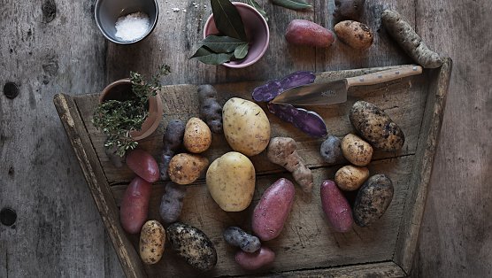 Kartoffeln stecken voller gesunder Inhaltsstoffe, die auf nat&uuml;rliche Weise k&ouml;rperliche Beschwerden lindern k&ouml;nnen (Foto: Markus Basler)