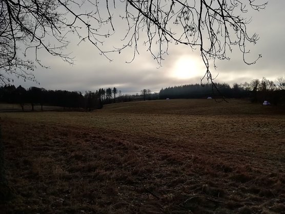 Ein wenig Nebel, ein wenig Sonne, Windstill und Null Grad - so pr&auml;sentierte sich heute morgen der Harz bei Sophienhof (Foto: W. J&ouml;rgens)