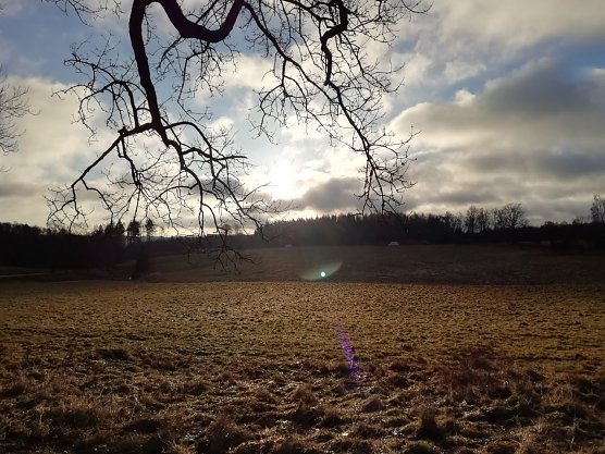 In Sophienhof zeigte sich das Wetter heute morgen noch von seiner angenehmen Seite (Foto: W. J&ouml;rgens)