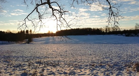 Der Winter, wie hier im Hochharz, legt erst einmal eine Pause ein (Foto: W.Jörgens) Der Winter, wie hier im Hochharz, legt erst einmal eine Pause ein (Foto: W.Jörgens)