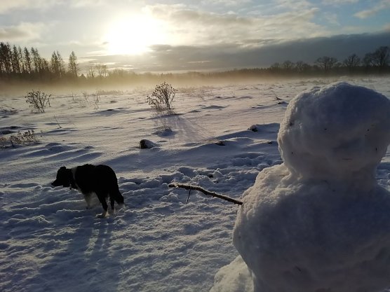Bei Minus 1 Grad, Windstille und guten zehn Zentimeter Schnee erwachte heute Sophienhof im Harz (Foto: W. J&ouml;rgens)