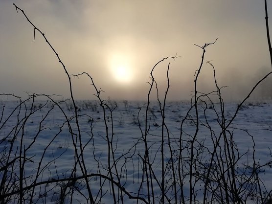 Unser frostig frisches Wettterbild kommt heute wieder aus dem morgenlichen Sophienhof (Foto: W. J&ouml;rgens)