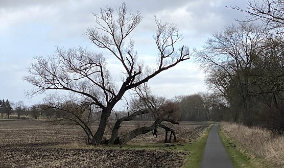 Das st&uuml;rmische Wetter setzt sich fort (Foto: oas)