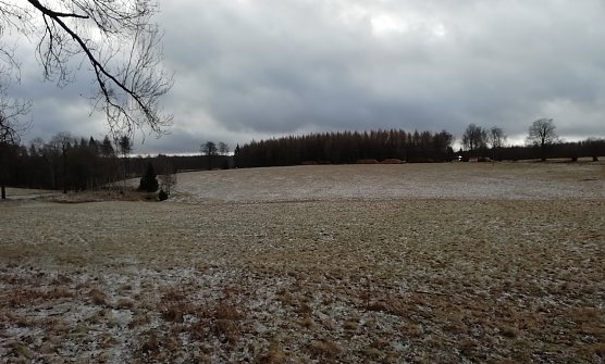 St&uuml;rmische Winde bei null Grad heute Morgen im oberen Harz (Foto: W.J&ouml;rgens)