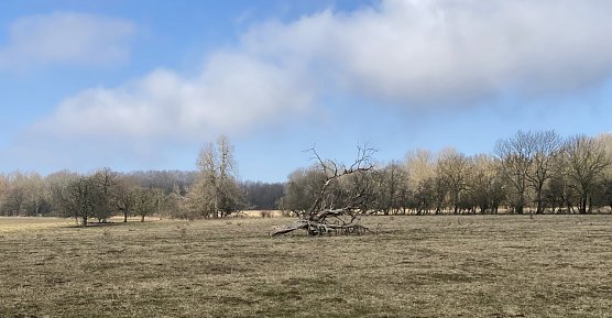 Im Eichsfeld (Foto: oas) Im Eichsfeld (Foto: oas)