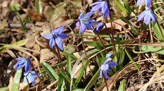 Wetterbild (Foto: agl)