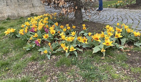 Ab Samstag freundliches Osterwetter (Foto: oas)