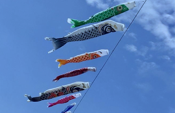 Kodomo No Hi im Japanischen Garten am Sonntag (Foto: KTL) Kodomo No Hi im Japanischen Garten am Sonntag (Foto: KTL)