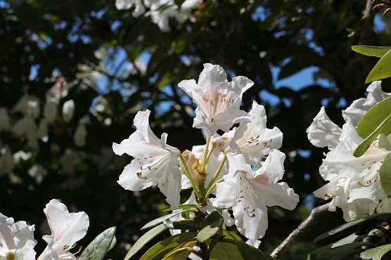 Wetterbild (Foto: agl) Wetterbild (Foto: agl)