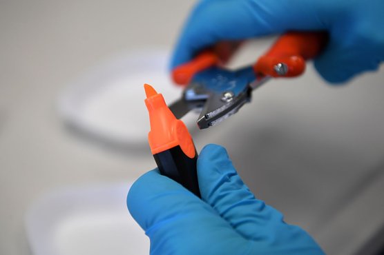 Die Stiftung Warentest hat Schulbedarf unter die Lupe genommen (Foto: Stiftung Warentest) Die Stiftung Warentest hat Schulbedarf unter die Lupe genommen (Foto: Stiftung Warentest)