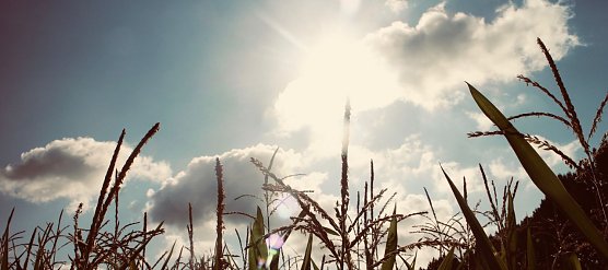 Wetterbild (Foto: agl) Wetterbild (Foto: agl)