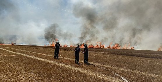 Feldbrand an der Kreisgrenze zum Kyffh&auml;userkreis (Foto: Feuerwehr Obermehler/Feuerwehr Ebeleben/Silvio Dietzel)