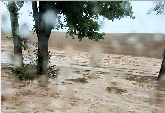 Starke Regenf&auml;lle gab es gestern auch in Nordhausen (Foto: privat)