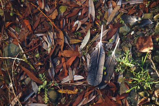 Wetterbild (Foto: agl)