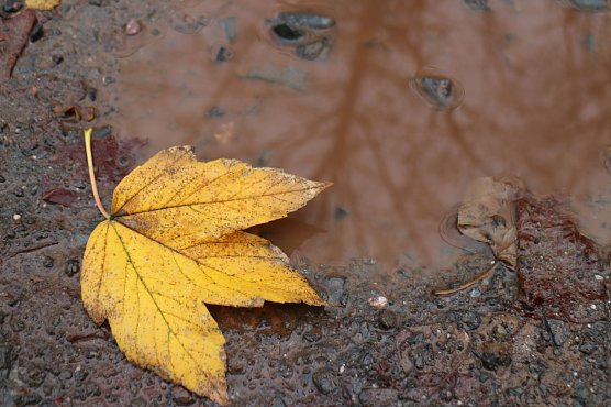 Wetterbild (Foto: agl)