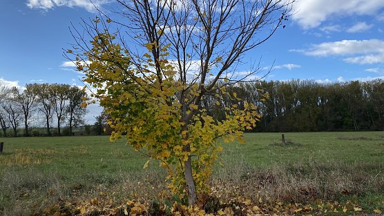 Auch das Ende des Oktobers zeigt sich von seiner besten Seite (Foto: oas) Auch das Ende des Oktobers zeigt sich von seiner besten Seite (Foto: oas)