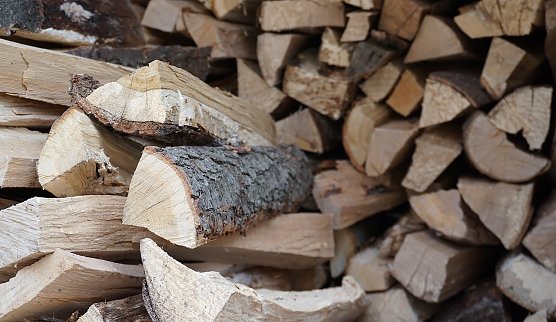 Brennholz ist insbesondere im l&auml;ndlichen Raum ein durchaus h&auml;ufig verwendeter Energietr&auml;ger � und soll es auch bleiben, geht es nach der Landesforstanstalt (Foto: Daniela Tr&ouml;ger)