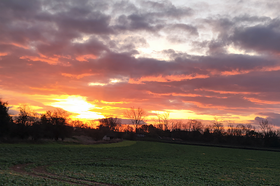 Dieser Schnappschuss gelang Gunnar M&uuml;ller im morgendlichen Stau auf der B80 bei Nordhausen (Foto: Gunnar M&uuml;ller)