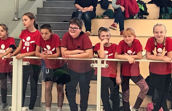 Zweifelderball-Turnier in der Salza-Halle (Foto: H.Krause)