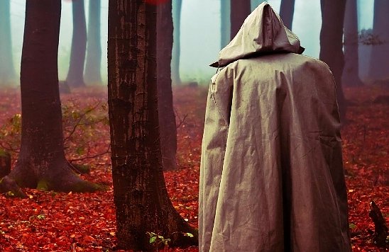 Autorenlesung mit Hans Kuhnert in der Thalia Buchhandlung (Foto: Verlag DeBehr) Autorenlesung mit Hans Kuhnert in der Thalia Buchhandlung (Foto: Verlag DeBehr)