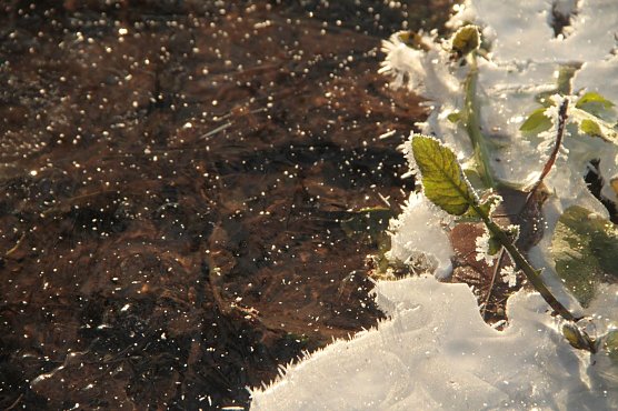 Wetterbild (Foto: agl) Wetterbild (Foto: agl)