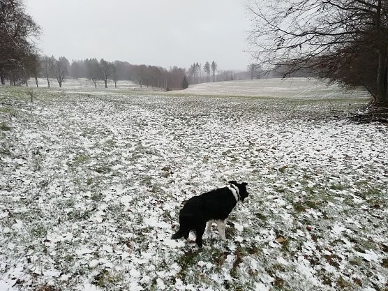 Sophienhof am Dienstagmorgen (Foto: W. J&ouml;rgens)