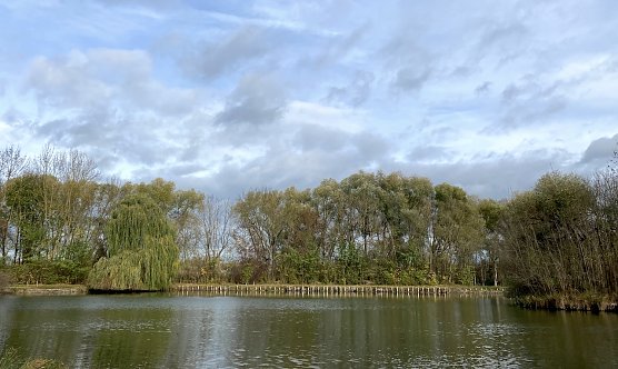 Der Deutsche Wetterdienst erwartet einen stürmischen Jahreswechsel (Foto: oas) Der Deutsche Wetterdienst erwartet einen stürmischen Jahreswechsel (Foto: oas)