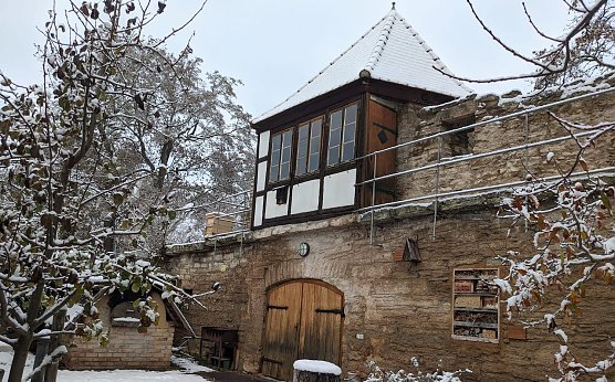 BUND-Garten Bad Langensalza im Winter (Foto: BUND)