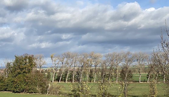 Ein st&uuml;rmischer Jahreswechsel steht bevor (Foto: oas)