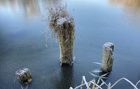 Glatt, kalt und neblig sollen die n&auml;chsten Tage werden (Foto: oas)