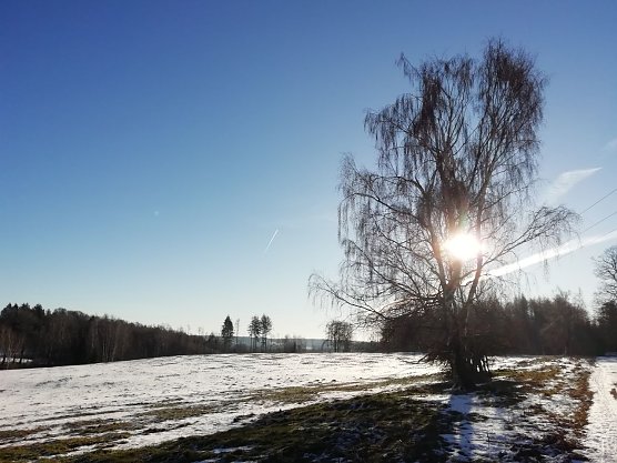 Frostig frisch und klar im Harz (Foto: W. Jörgens) Frostig frisch und klar im Harz (Foto: W. Jörgens)